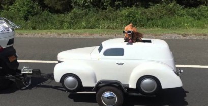Βίντεο: Ο σκύλος έχει το δικό του αυτοκίνητο