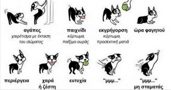 Η γλώσσα του σώματος ενός σκύλου! (Εικόνες)