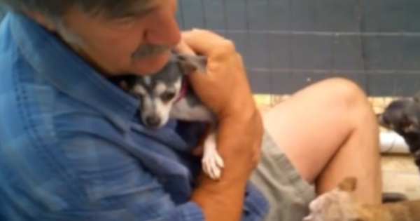 Αυτό το σκυλάκι δεν το έχουν αγγίξει ΠΟΤΕ! Δείτε την αντίδρασή του όταν το παίρνουν για πρώτη φορά αγκαλιά… (Βίντεο)
