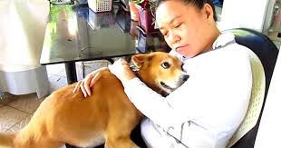 Αυτός ο άνθρωπος ήταν τόσο λυπημένος μέχρι που αυτό το σκυλάκι έκανε το πιο γλυκό πράγμα…(Βίντεο)