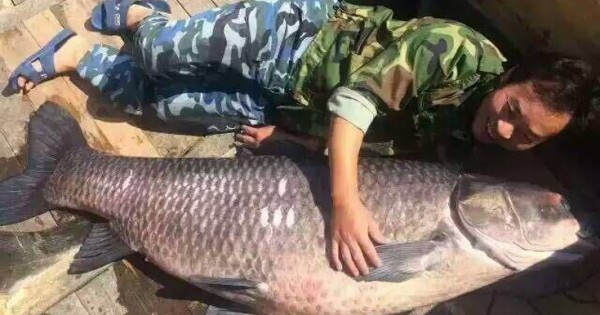 Αλιείς έπιασαν στην Κίνα ψάρι 90 κιλών (Εικόνες)