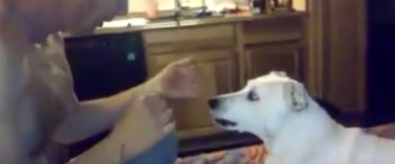 Το μαγικό τρικ ενός άνδρα και η «όλα τα λεφτά» αντίδραση του σκύλου του (Βίντεο)