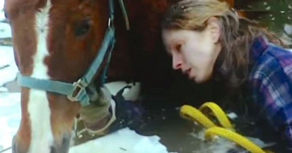 Έπεσε σε ένα φαράγγι με το Τυφλό άλογό της και δεν είχε καμία τύχη… Ένας σκύλος όμως, κατάφερε το ακατόρθωτο! (Βίντεο)