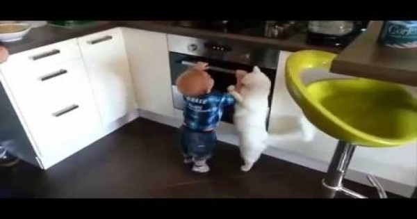 Γάτα απομακρύνει μωρό που προσπαθεί να ανοίξει το φούρνο της κουζίνας (video)