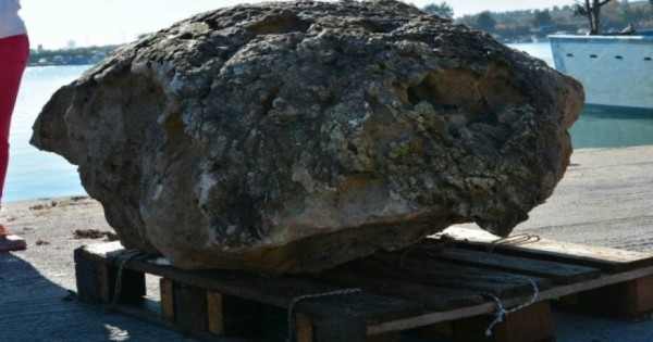 Εκπληκτικό! Βρέθηκαν στην Πιερία απολιθωμένες γιγάντιες χελώνες ηλικίας 2,5 εκατομμυρίων ετών [φωτό]