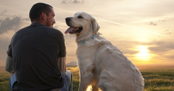 5 συμβουλές για να γίνει ο σκύλος σας… ό,τι ακριβώς χρειάζεστε στη ζωή!