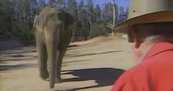 Εργαζόμενος σε τσίρκο συναντάει τον ελέφαντά του μετά από 15 χρόνια!