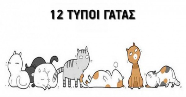 12 τύποι γάτας: Εσείς ποιον τύπο έχετε; (Εικόνες)