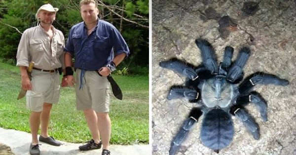 Εψαχνε 10 χρόνια… μια αράχνη, ξόδεψε 40.000 ευρώ και ξαφνικά εκείνη έπεσε στα πόδια του (φωτό)