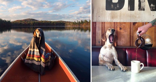 Φωτογράφος ταξιδεύει παρέα με τον σκύλο του και τον φωτογραφίζει με έναν μοναδικό τρόπο. (Εικόνες)