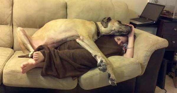 Κοιμάστε μαζί με το σκύλο σας; 10 λάθος στάσεις ύπνου! (Εικόνες)