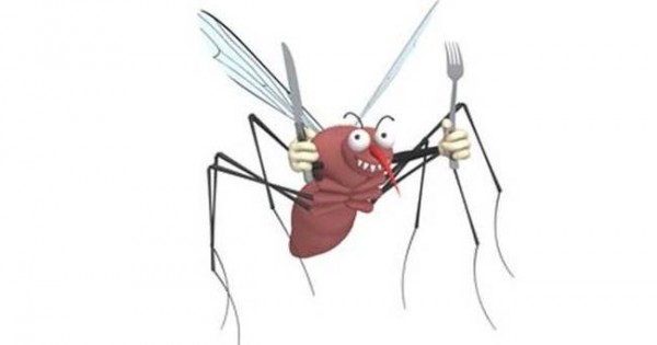 Το ξέρατε; Γιατί μας τσιμπούν τα κουνούπια;