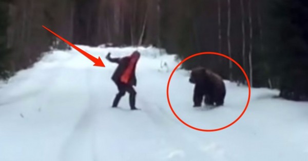 Σουηδός μας δείχνει τον σωστό τρόπο για να αποφύγουμε μια επίθεση από αρκούδα. (Βίντεο)