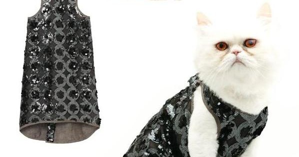 Εκπληκτικά κουστούμια για το γάτο σας! (Εικόνες)