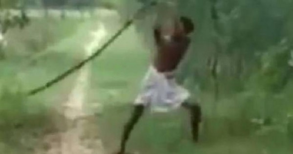Ινδός σκότωσε βασιλική κόμπρα με τα γυμνά του χέρια (video)
