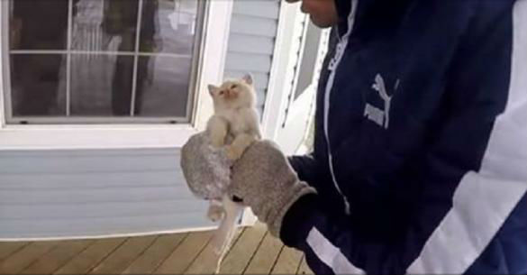 Αυτή η οικογένεια βρήκε ένα κατεψυγμένο γατάκι κάτω από το χιόνι και το «ανέστησε». (Βίντεο)
