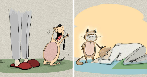 Γάτες εναντίον Σκύλων: 6 βασικές διαφορές μεταξύ τους σε υπέροχα σκίτσα. (Εικόνες)