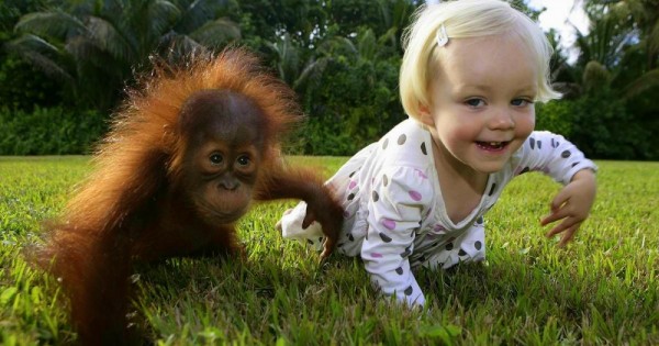 15 εικόνες που δείχνουν ξεκάθαρα ότι τα παιδιά και τα ζώα μπορούν να είναι οι καλύτεροι φίλοι.