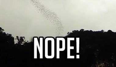 Νομιζαν ότι είδαν ένα σμήνος από πουλιά αλλά… (Βίντεο)