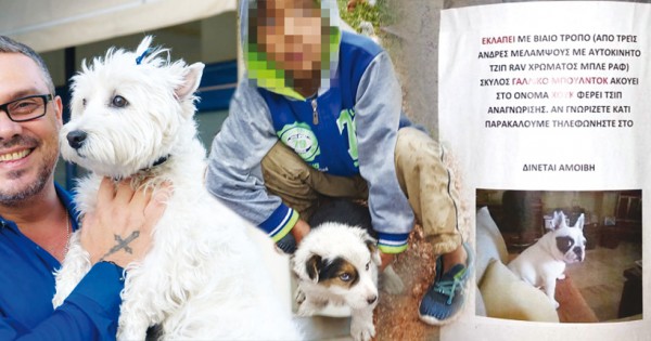 Χρυσές δουλειές με απαγωγές σκύλων κάνουν οι συμμορίες (Εικόνες)