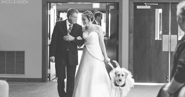 Είχε άγχος την ημέρα του γάμου της, όμως το σκυλί κατάφερε να… (Εικόνες)