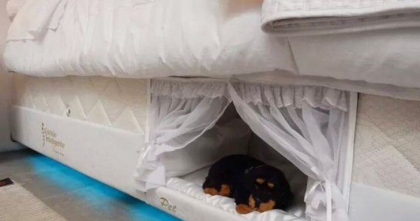 Το απόλυτο Κρεβάτι για να μπορείς να κοιμάσαι παρέα με το σκύλο σου. (Εικόνες)