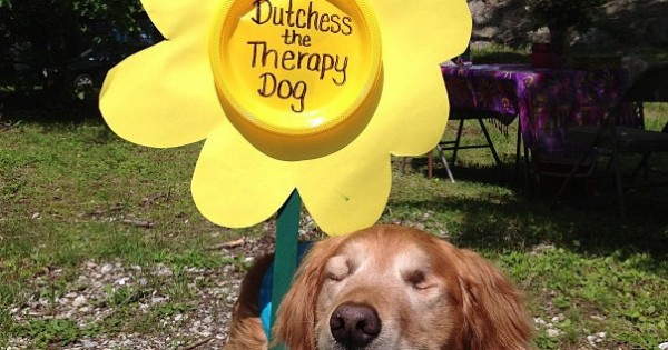 10 τυφλά σκυλάκια που θα κάνουν την ημέρα σας πιο χαρούμενη (Εικόνες)