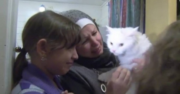 Βίντεο: Η ιστορία του γάτου – πρόσφυγα που ξαναβρήκε την οικογένειά του