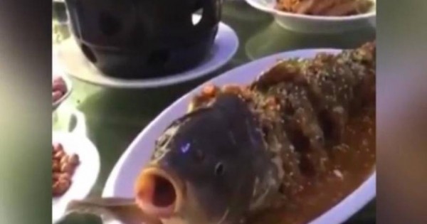 Βίντεο: Μαγειρεμένο ψάρι «ζωντανεύει» όταν του δίνουν αλκοόλ!