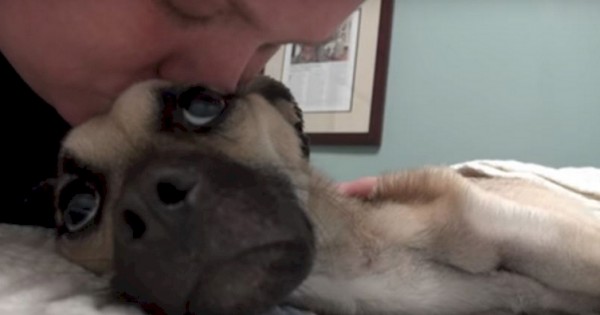 Φιλάει για τελευταία φορά τον σκύλο της που πεθαίνει. Και ξαφνικά γίνεται το ΘΑΥΜΑ! (Βίντεο)