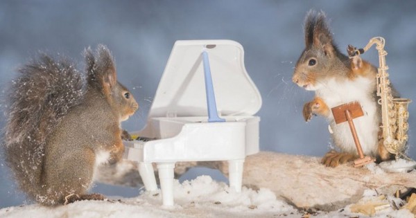 9 φανταστικές φωτογραφίες με σκιουράκια που «παίζουν» μικροσκοπικά όργανα
