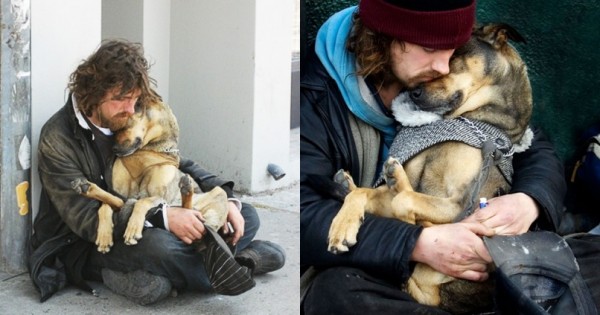 16 Σκύλοι που ΠΟΤΕ δεν Παράτησαν τους Ιδιοκτήτες τους παρά τις Δυσκολίες! (Εικόνες)