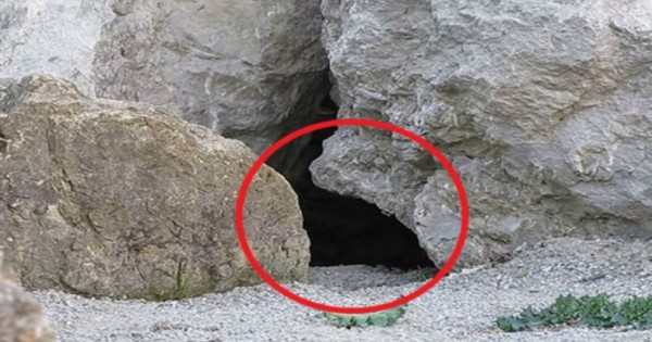 Τοποθέτησαν μια κάμερα έξω από αυτή την σπηλιά και δείτε τι κατέγραψαν! [Βίντεο]