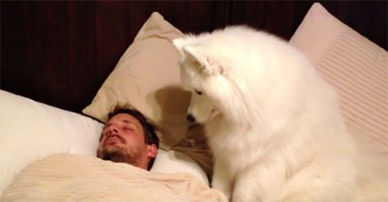 Δεν τον πίστευαν πόσο γλυκά τον ξυπνάει ο σκύλος του κάθε πρωί,ώσπου το έγραψε σε κάμερα! (Βίντεο)