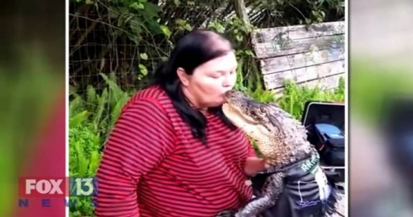 Αλιγάτορας νομίζει ότι είναι κατοικίδιο και δίνει φιλιά στο στόμα (βίντεο)
