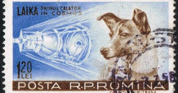 Η αλήθεια για το σκυλί – αστροναύτης: Πώς έγινε πείραμα από τους Ρώσους (Βίντεο)