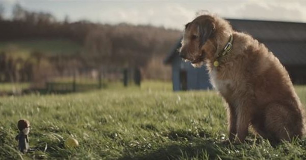 Αυτός ο σκύλος που περιμένει να βρει μια οικογένεια θα σας συγκινήσει… (Βίντεο)
