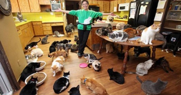 ΗΠΑ: Γυναίκα ζει με 1.000 γάτες και … χαρίζει το σπίτι της σε αυτές [βίντεο]