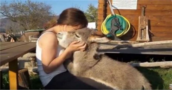 Γαϊδουράκι λιώνει στην αγκαλιά νεαρής φίλης του (βίντεο)