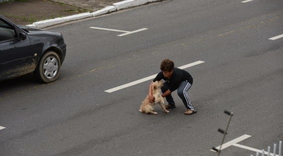 Εντεκάχρονος όρμησε σε αυτοκίνητα για να σώσει σκύλο (εικόνες)