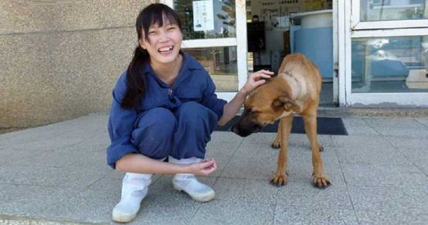 Κτηνίατρος έβαλε τέλος στη ζωή της κάνοντας ευθανασία στον εαυτό της γιατί αναγκαζόταν να κάνει ευθανασίες σε σκύλους!