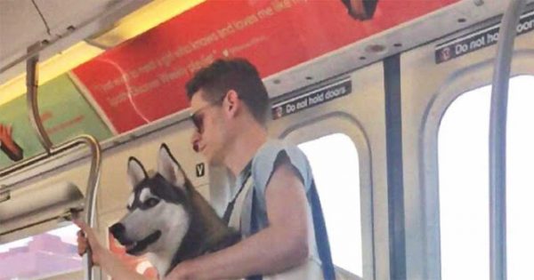 Αυτός ο άντρας βρήκε τον πιο ωραίο τρόπο να μεταφέρει τον σκύλο του μέσα στο μετρό