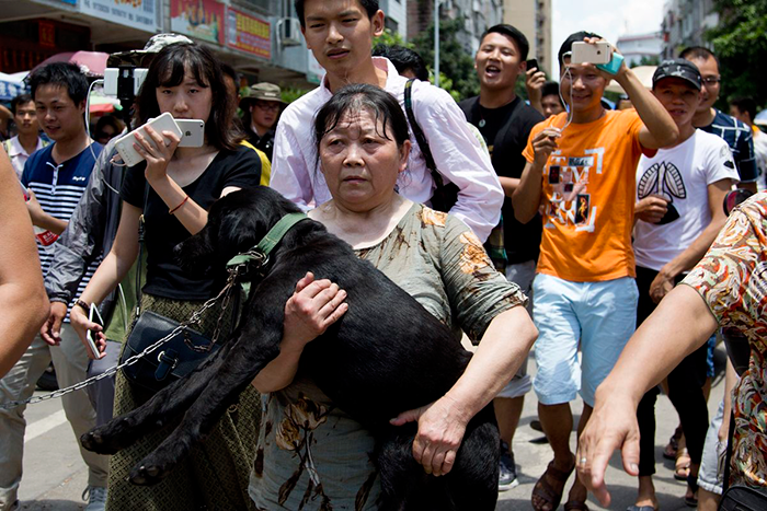 Φεστιβάλ Yulin κακοποίηση ζώων 