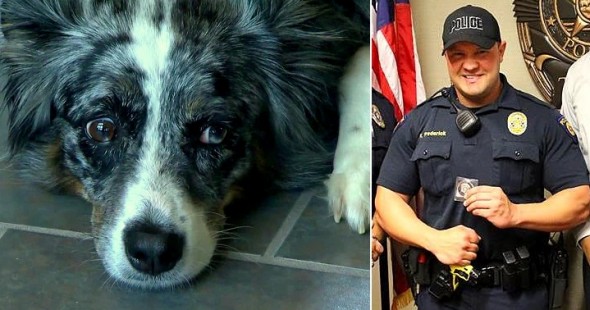 Αστυνομικός ηρεμεί σκύλο που τον δάγκωσε