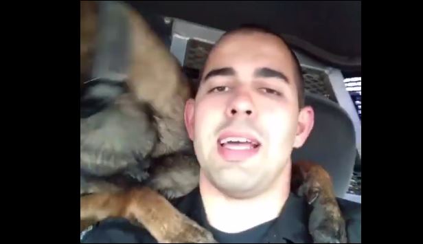 αστυνομικός σκύλος 