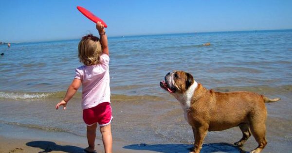 Μία παραλία μόνο για… σκύλους! Υπάρχουν και στη χώρα μας (βίντεο)