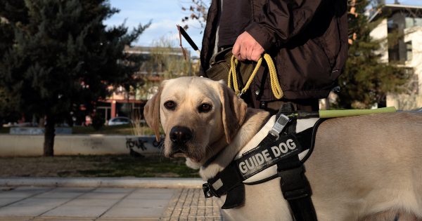 Αφανείς ήρωες: Με τα μάτια δεμένα στην Αθήνα κι έναν Σκύλο για Οδηγό