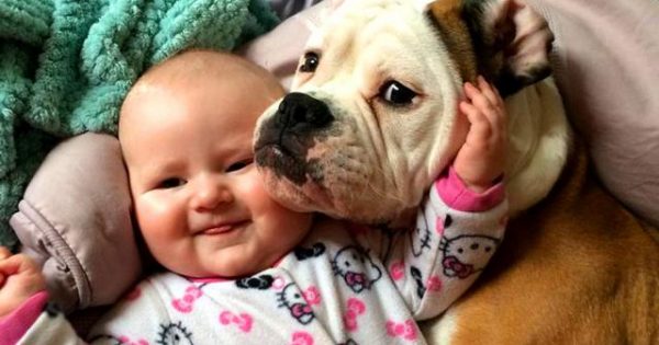 Τα σκυλιά κάνουν τα μωρά μας ευτυχισμένα! [video]
