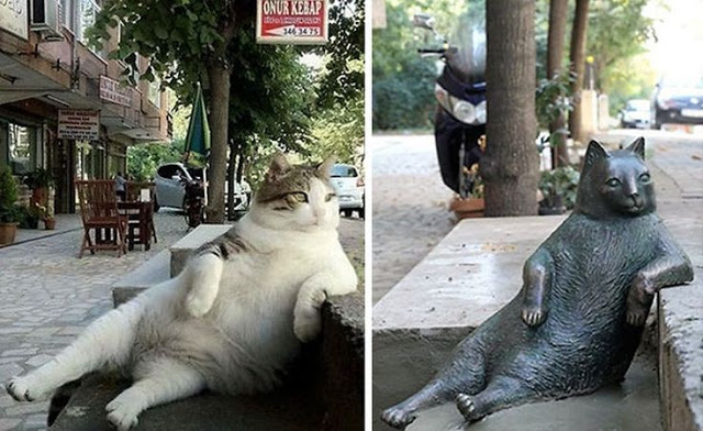 laid-back-cat-statue-tombili-istanbul-8-735x450
