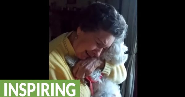 Δε θα πιστέψετε τι συμβαίνει με αυτή την 90χρονη και το κουτάβι! (βίντεο)